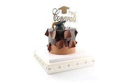 [Grad Cake  - Graduation Cap] Graduation Cap